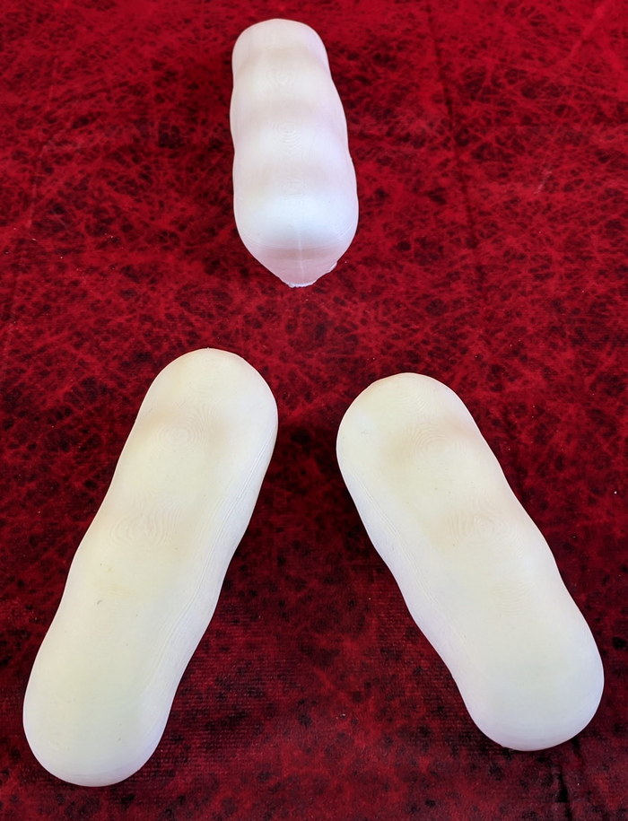 Large Bird Foam Toe
