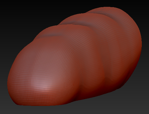 Large Bird Foam Toe