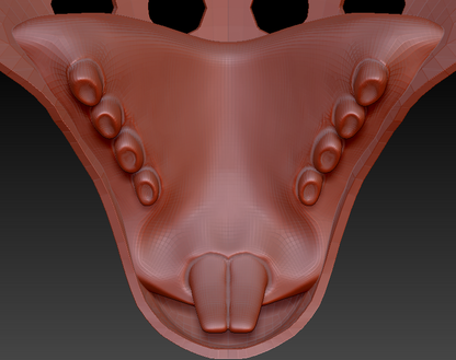 Large Bunny Realistic Style Jawset