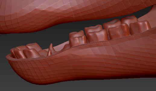 Large Horse Jawset Realistic Style 2