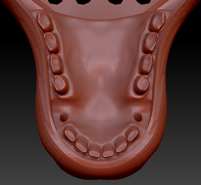 Large Horse Jawset Realistic Style 2