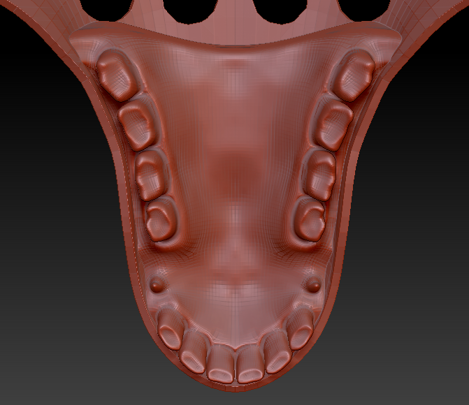 Large Horse Jawset Realistic Style 2