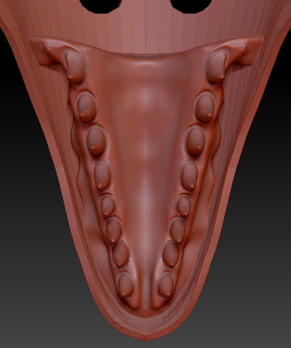 Medium Raptor Realistic Style Jawset