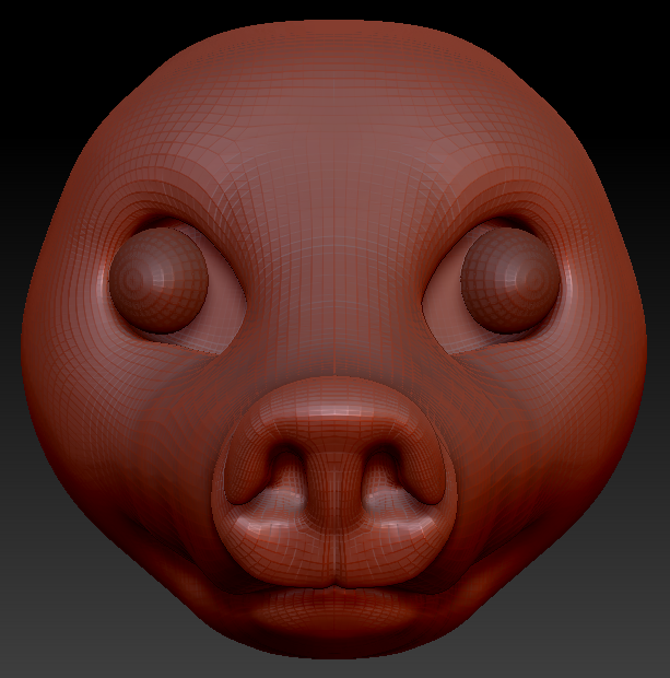 Realistic Coatimundi Head Base