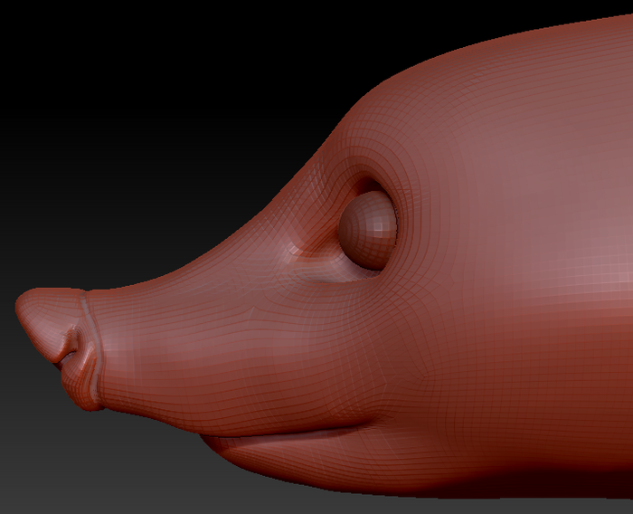 Realistic Coatimundi Head Base