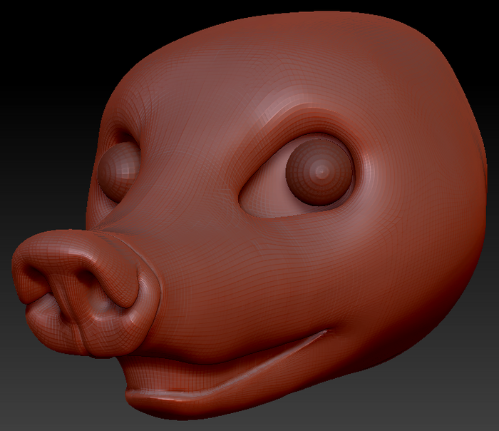 Realistic Coatimundi Static Jaw Head Base