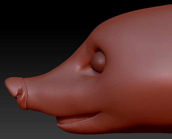Realistic Coatimundi Static Jaw Head Base