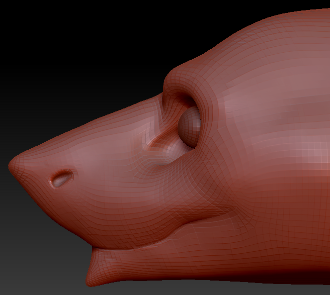 Realistic Eastern Sergal Head Base