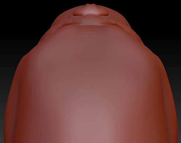 Realistic Pug Head Base