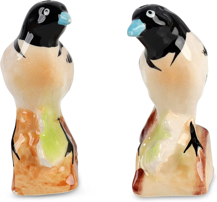 Retro Bird Salt and Pepper Shaker Set
