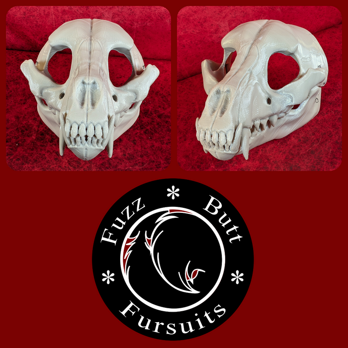 Small Canine Skull