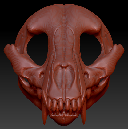 Small Canine Skull