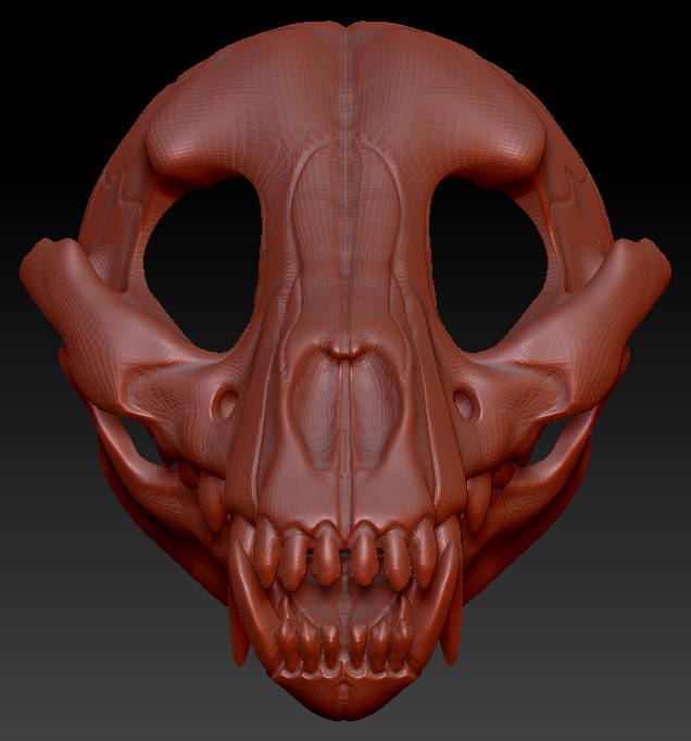 Small Canine Skull