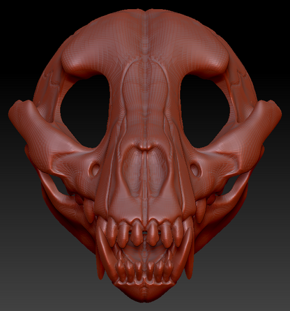 Small Canine Skull