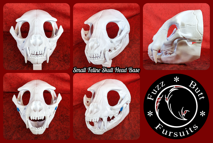 Small Feline Skull