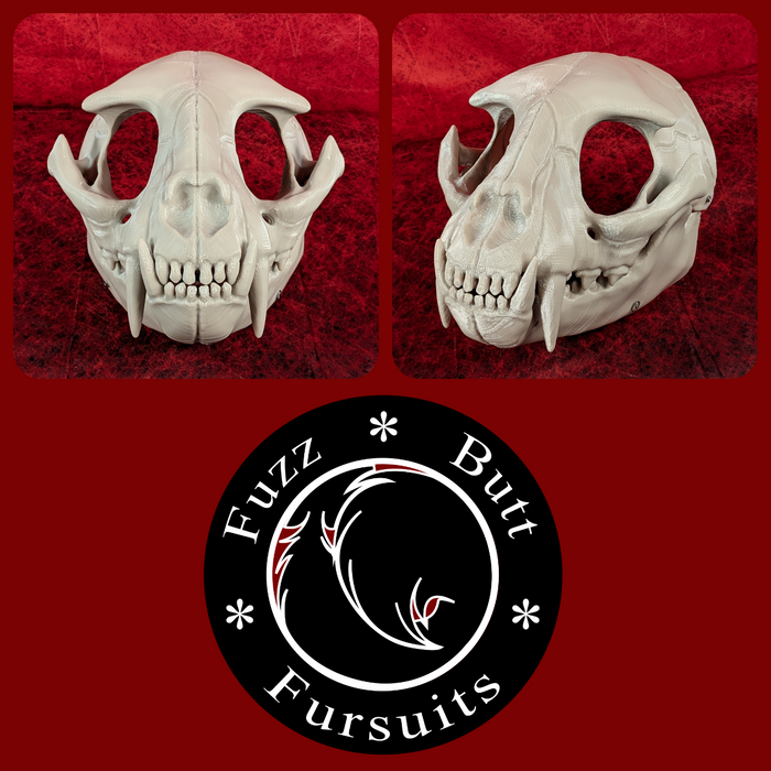 Small Feline Skull