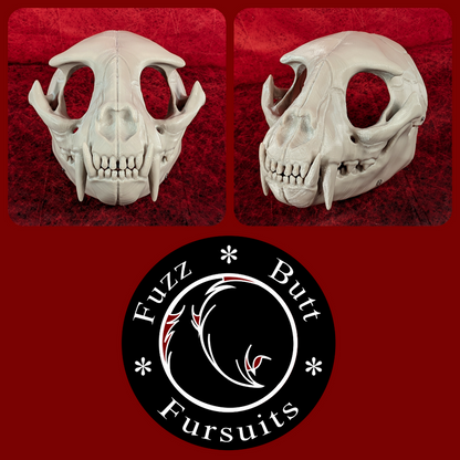 Small Feline Skull