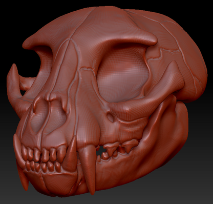 Small Feline Skull