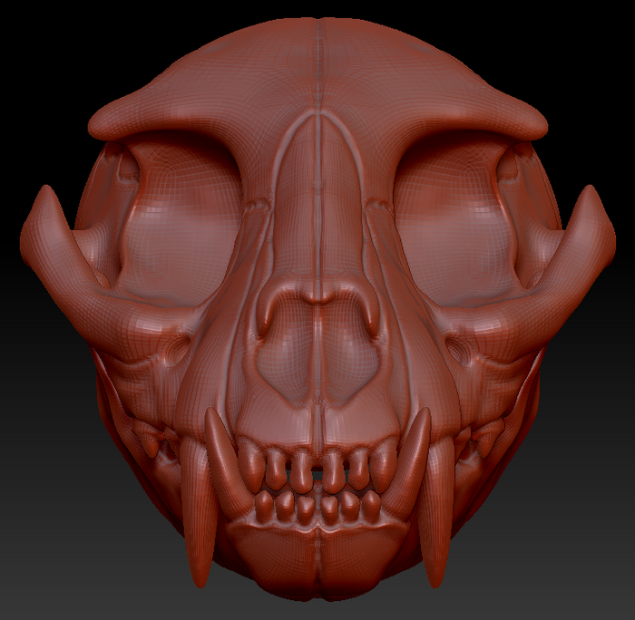 Small Feline Skull