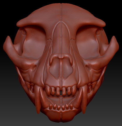 Small Feline Skull