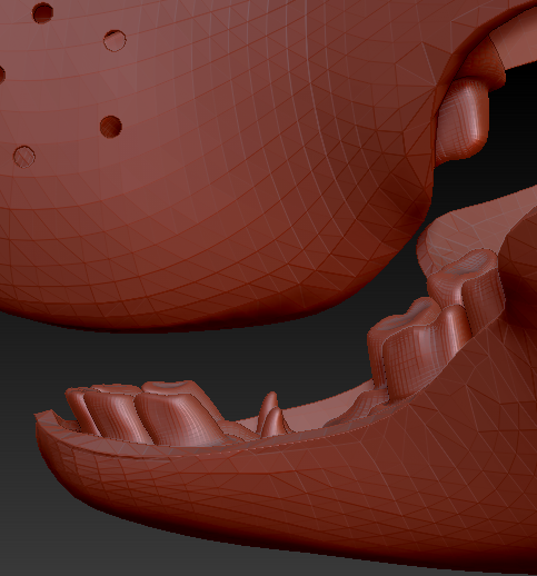 Small Horse Realistic Jawset Style 2