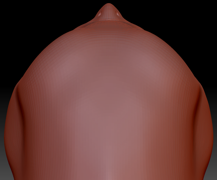 True Kemono Barn Owl Head Base