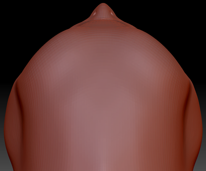 True Kemono Barn Owl Head Base