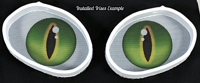 True Kemono Toucan Head Base