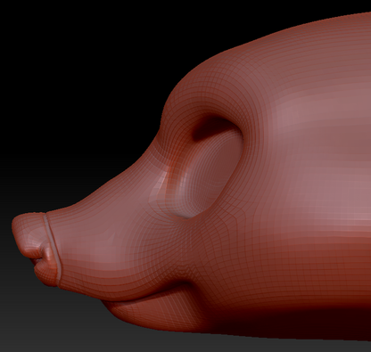 Western Kemono Coatimundi Head Base