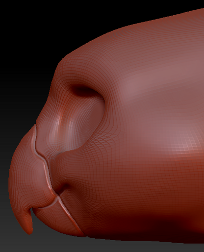 Western Kemono Quaker Parrot Head Base