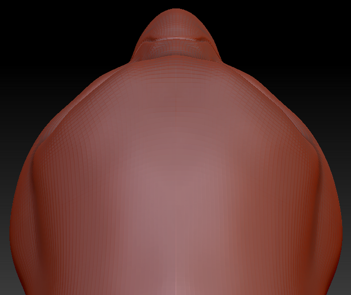 Western Kemono Quaker Parrot Head Base