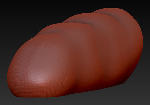 X-Large Bird Foam Toe