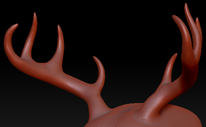 XX-Large Horn Set 13