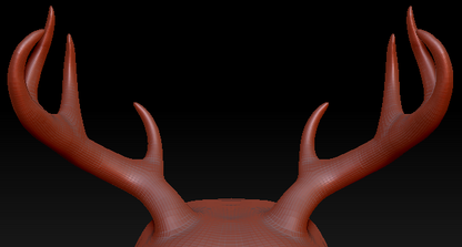 XX-Large Horn Set 13