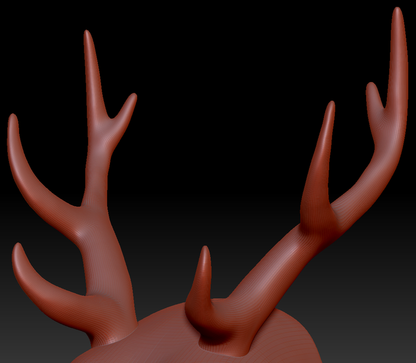 XX-Large Horn Set 23